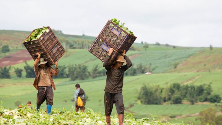 A Blockchain Remittance Pilot Proves Successful for 100 Migrant Workers in Thailand