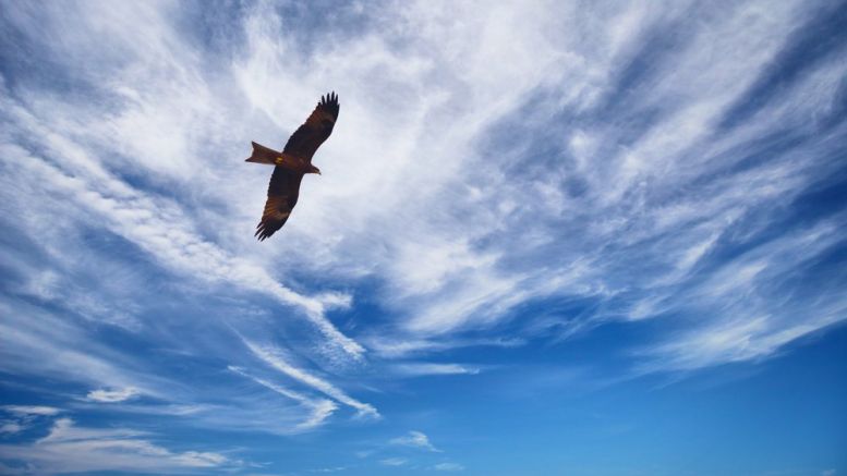 Bitcoin Keeps Soaring, Breaks Beyond $900