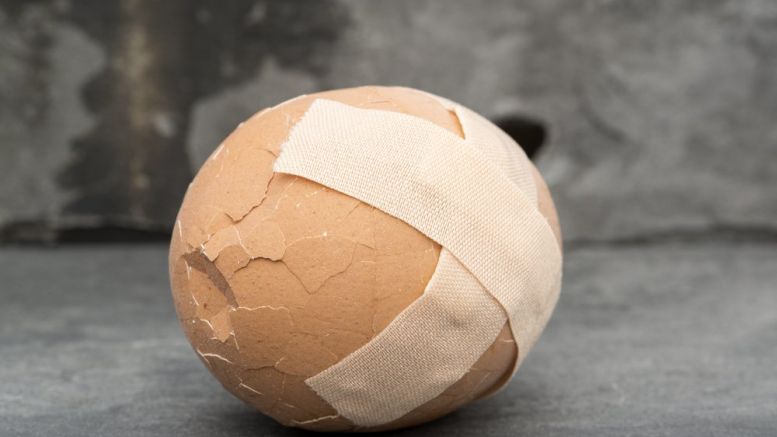 Newegg Makes a Crypto Omelette With Eggcoin