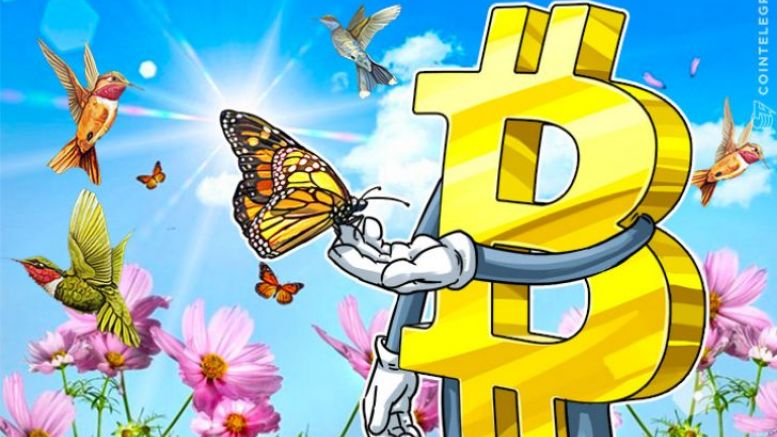 Bitcoin Becomes Venezuelans’ Last Resort, Even When Buying Food