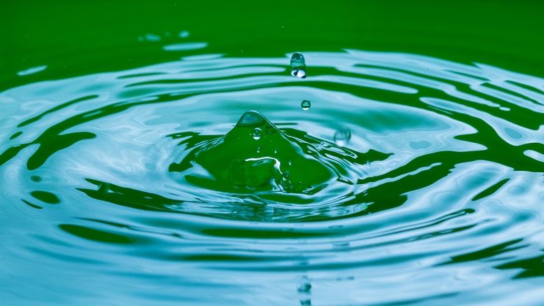 Bitstamp: Ripple’s XRP a ‘Good Fit’ for EU License Requirements