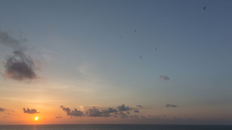 Exclusive (and Controversial) Satoshi Roundtable Commences in Cancun