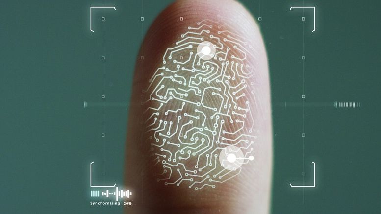 Microsoft Details Collaboration With Blockchain Startup Tierion