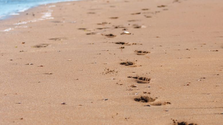 Bitcurex: Owner ‘Disappears’ After Failing to Return 2,300 BTC