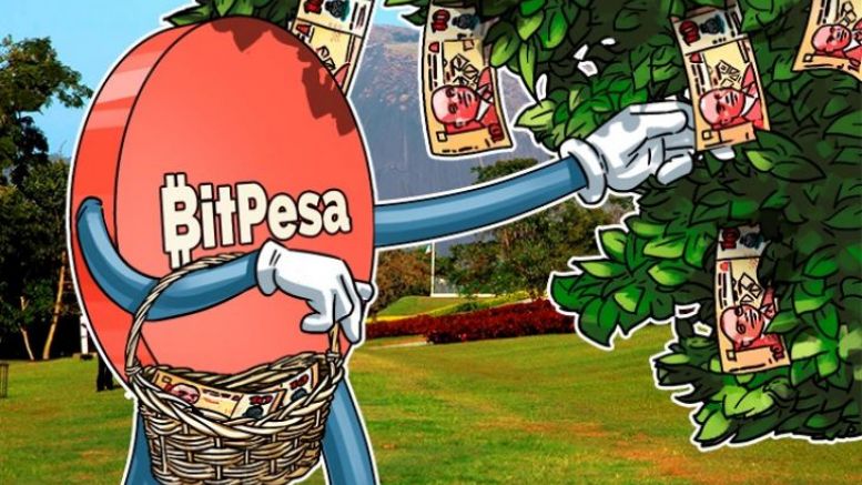 Bitcoin Market in Nigeria Prospers With BitPesa at Forefront