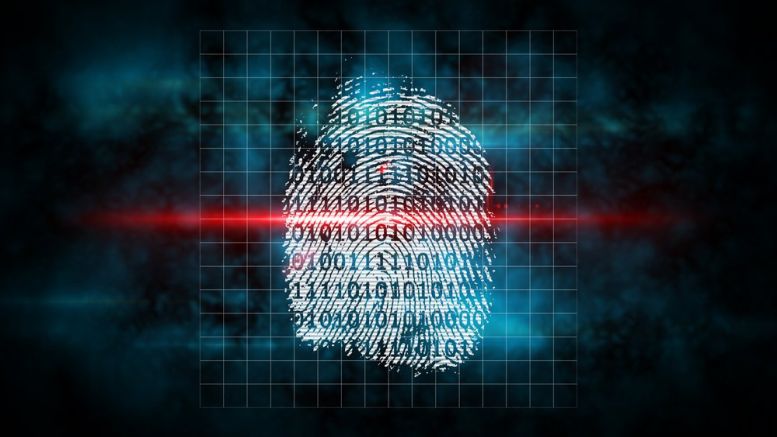 Microsoft and Blockchain Startup Tierion Partner on Digital Identity Initiative