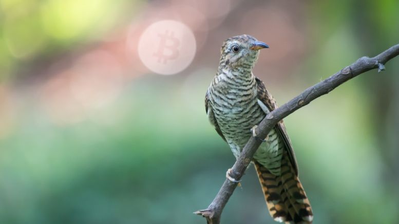 New Bitcoin Caching Features Could Improve Block Verification