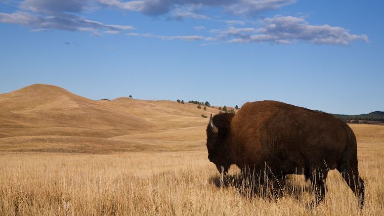 North Dakota Legislators Advance Plan for Bitcoin Regulation