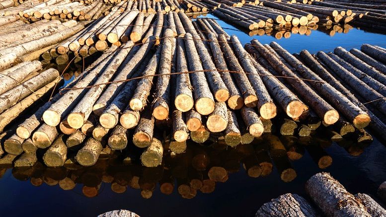 Bitcoin’s Transaction Backlogs Are Now Becoming Common
