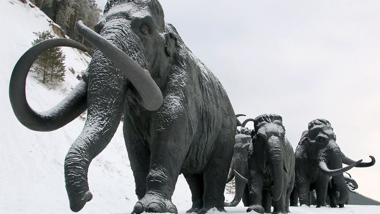 With Ethereum 'Ice Age' Incoming, Momentum Builds for Miner Pay Cut