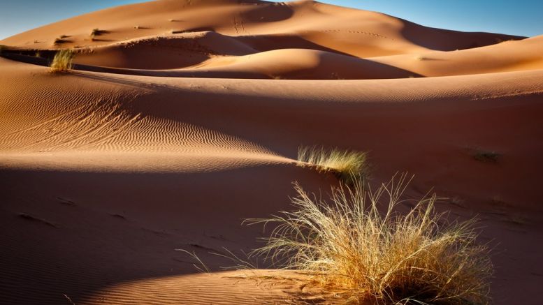 Middle East and North Africa Slow to Adopt FinTech, Say Experts