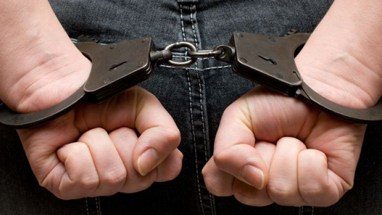 Family raises $1 million for Ross Ulbricht’s bail