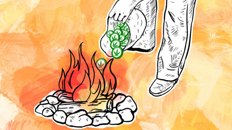 The Full Story Of CannabisCoin's Premine Burn