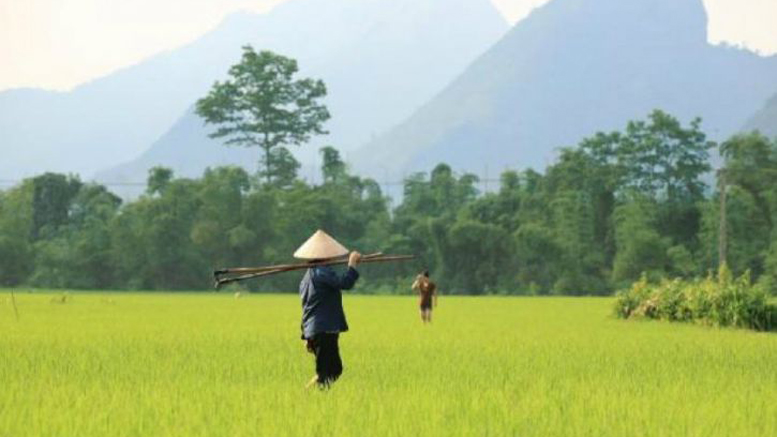 Vietnam forbids Bitcoin transactions