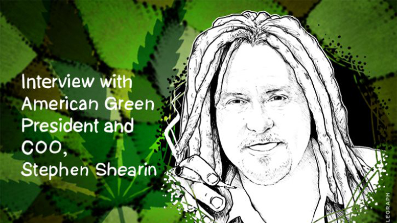 American Green President: 'We Need a Healthy, Stable, Bustling Bitcoin Economy'