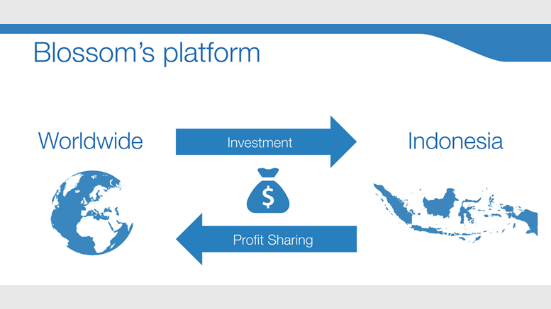 A Sharia Compliant Bitcoin Platform Blossoms in Indonesia