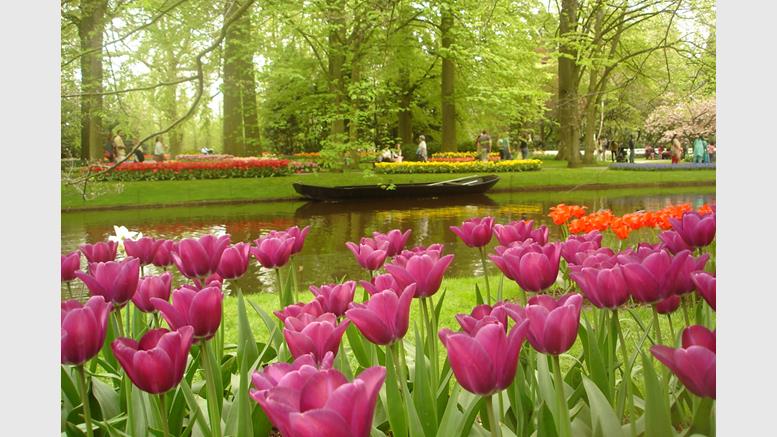 Netherlands: What is Bitcoin? We Don't Really Know