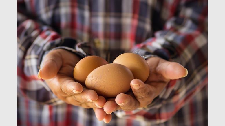 Interview: Australian Chicken Farmer Encourages Bitcoin Payments