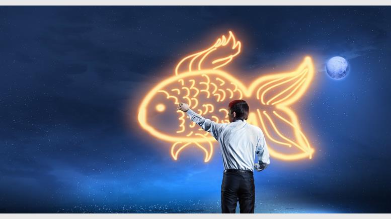 How Discus Fish Became China's Largest Bitcoin Mining Pool