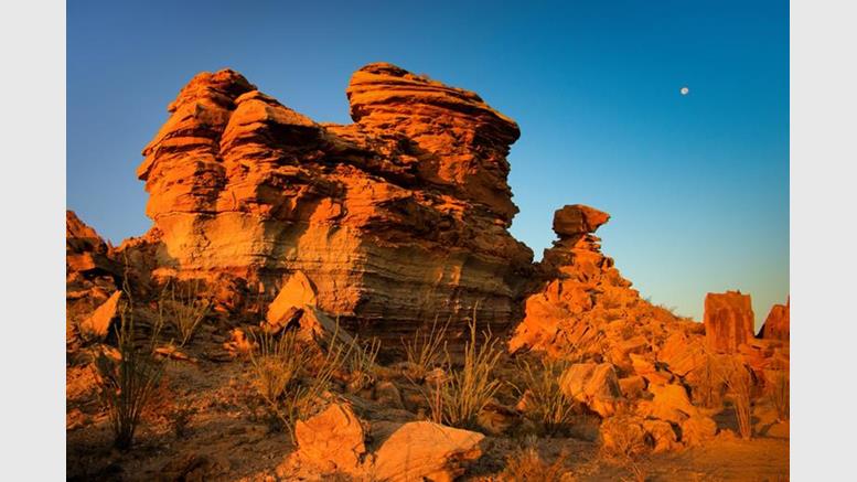 Bitcoin Service Harborly Moves to Texas for Favorable Bitcoin Environment