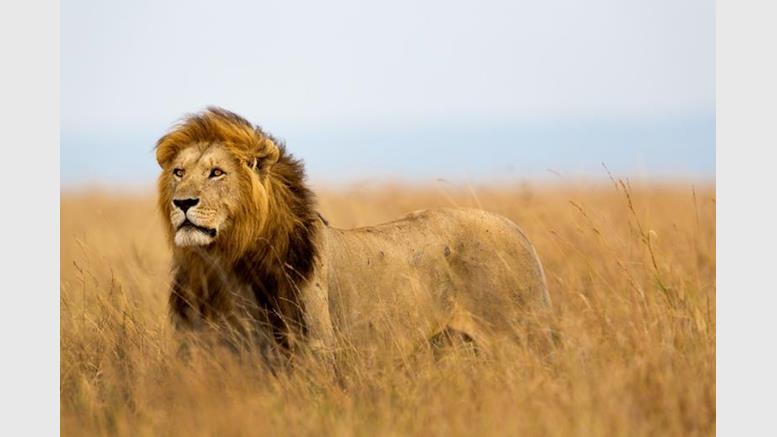Video: How Bitcoin is Changing Banking in Africa