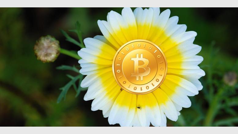 Bitcoin: April in Review