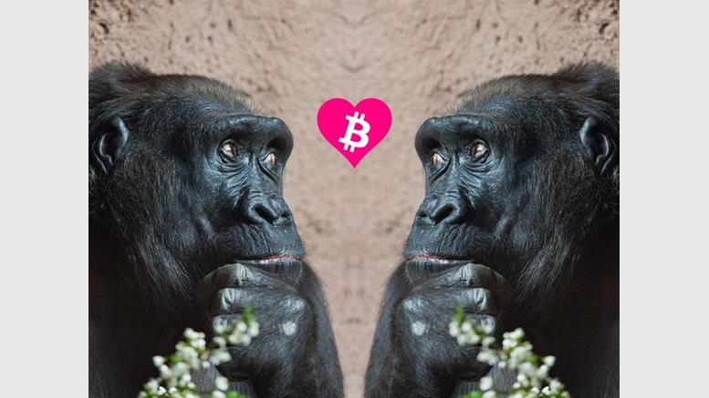 Bitcoin Adoption: 5 Ways to Make the Bitcoin Price Rise Without Being a Whale