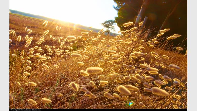 Bitcoin Price Winding in Correction