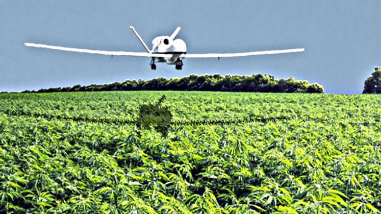Bitcoin-Purchased Marijuana May Soon be Available via Drone
