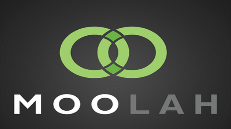 Mintpal is acquired by Moolah.io