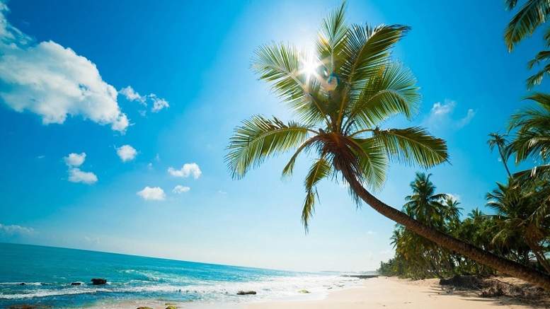 Patrick Byrne: Barbados Tests Fiat Hosting on Blockchain