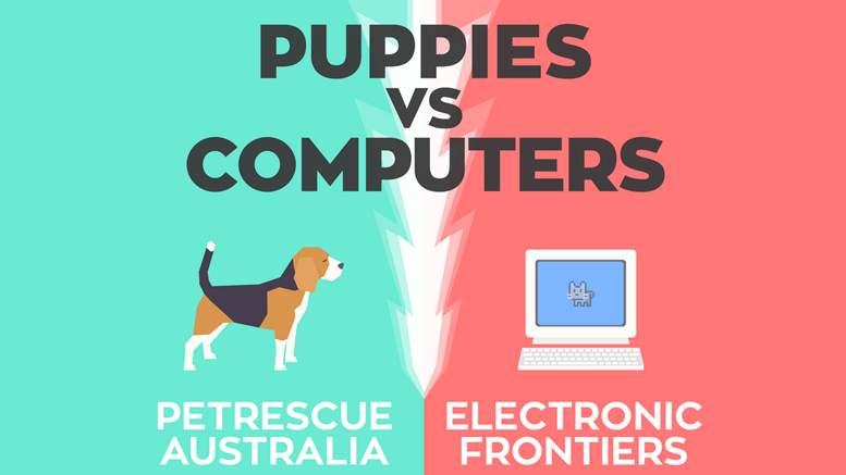 CoinJar Bitcoin Donation Showdown Pits Puppies Against Computers