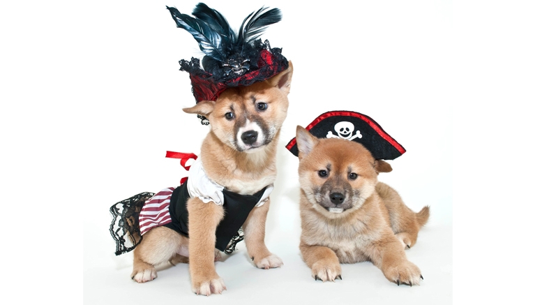 Dogecoin Price Steadies Following Fluctuation