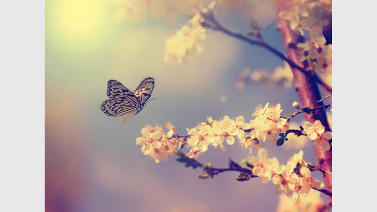 FTC Reports Butterfly Labs Mined on Customers' Bitcoin Miners