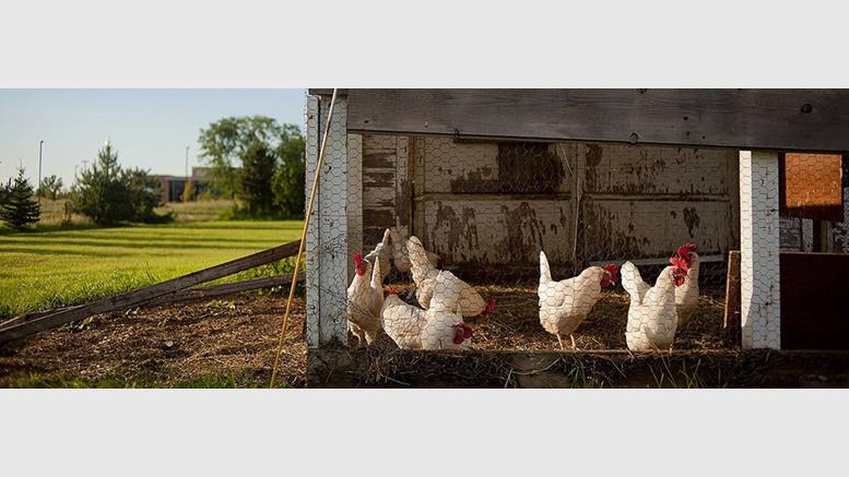 Closing the Loop: Australian Organic Farm Creates a Local Bitcoin Economy Among Farmers