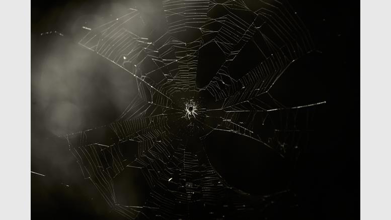 How to Earn Bitcoin by Turning Your Android Device into a Tor Node