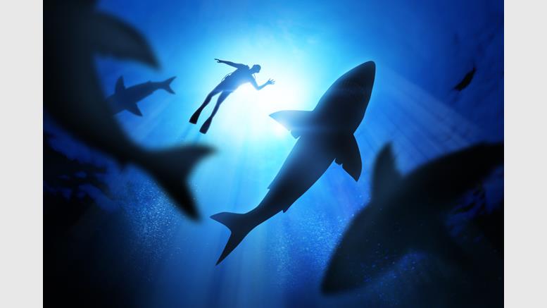 Bitcoin Price Dives Lower
