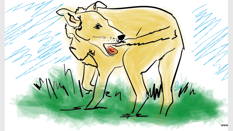 Litecoin Price Technical Analysis for 13/4/2015 - Intraday - Tail Chewing