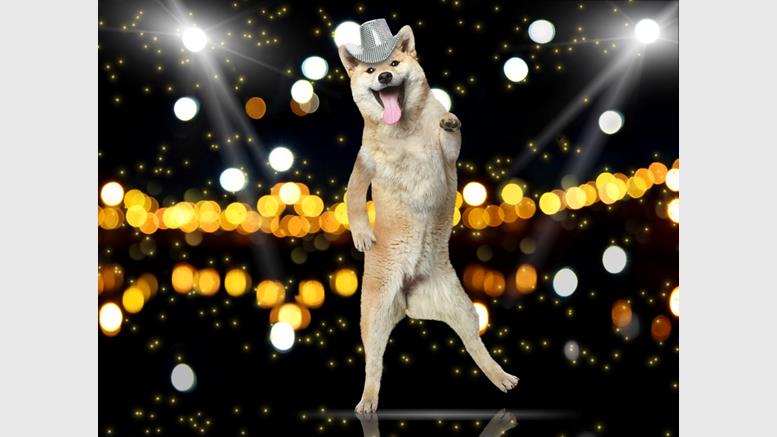 Dogecoin Price Leaps 25%