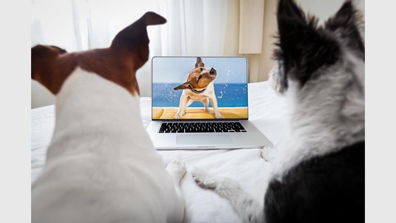 Dogecoin Price Rebounds after Twitch TV Announcement