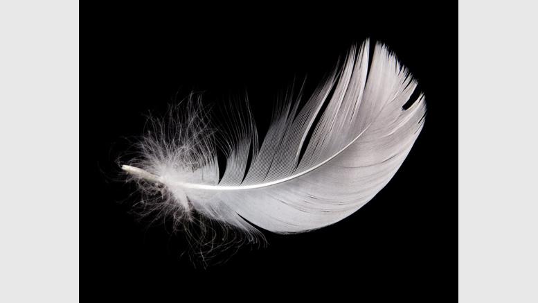 Feathercoin Price Rises Ahead of NeoScrypt Hard Fork