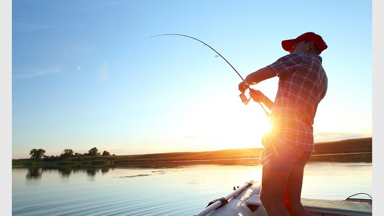 Hook, Line and Sinker: How to Avoid Bitcoin Phishing Scams