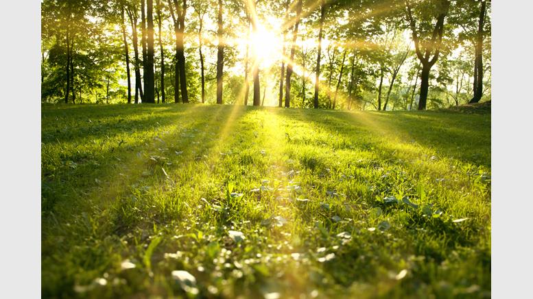 Think Tank Reignites Debate Over Bitcoin Mining's Environmental Effects