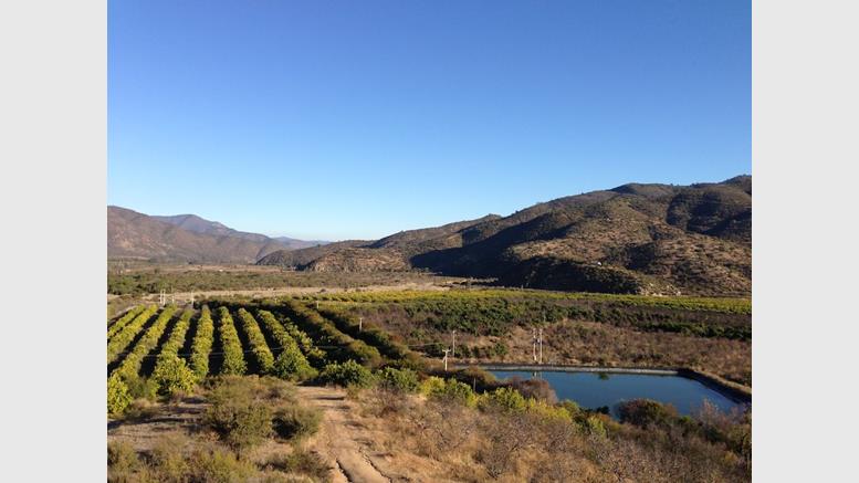 Pay in Bitcoin for a Plot in Chilean Libertarian Paradise