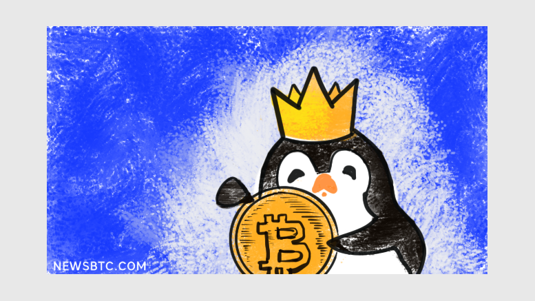 Fantastic! Now Pay Bitcoin To Buy Video Games