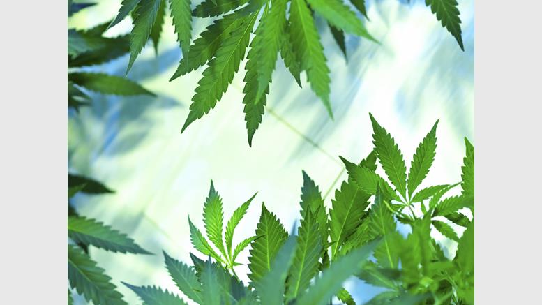You May Soon Get Bitcoin-Bought Cannabis Delivered by Drone