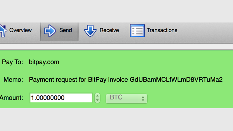 Do You Need Payment Protocol Support? - Now You Can Have It