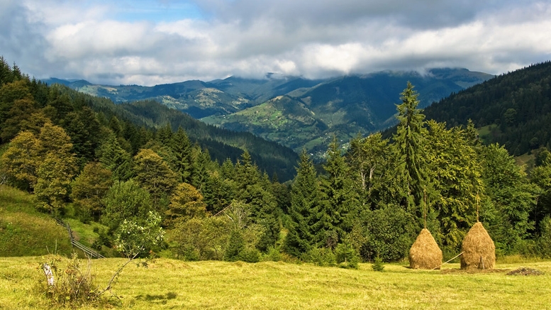A Safe Guide for Bitcoin Travelers Visiting Ukraine