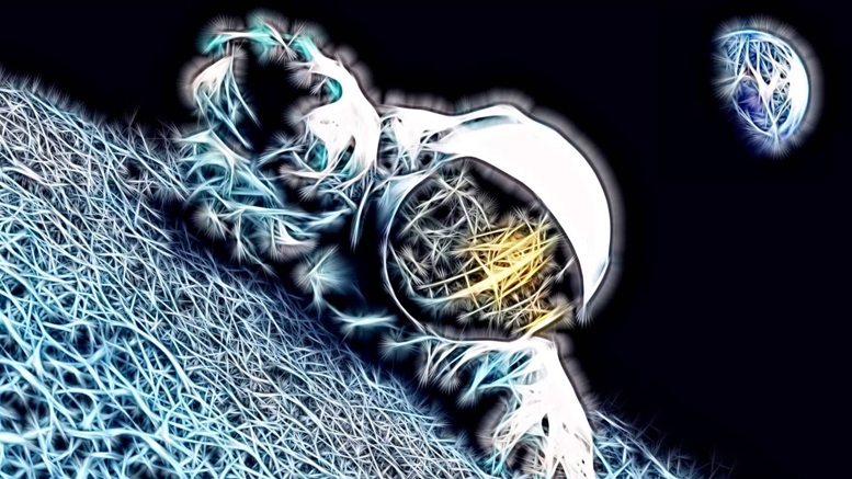 How Bitcoin is like a Psychedelic Drug