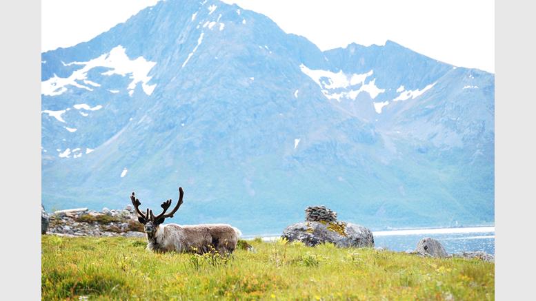 Norway: 